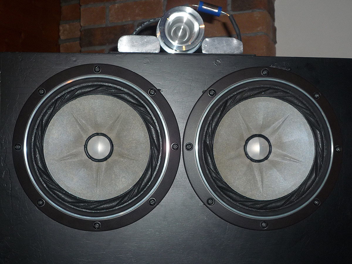 FOSTEX FE208ES-R:2発+ホーンツイーター/自作バックロード